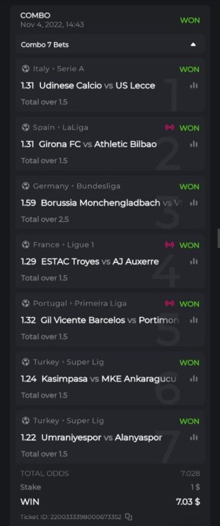 photo_2022-11-04 20.47.12.jpeg